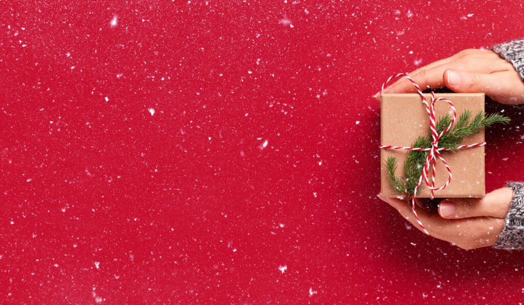 Holiday Gift Guide 2019