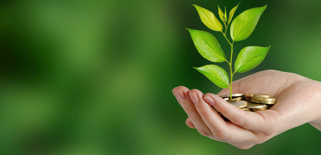 Find Grants for Entrepreneurs in Alberta